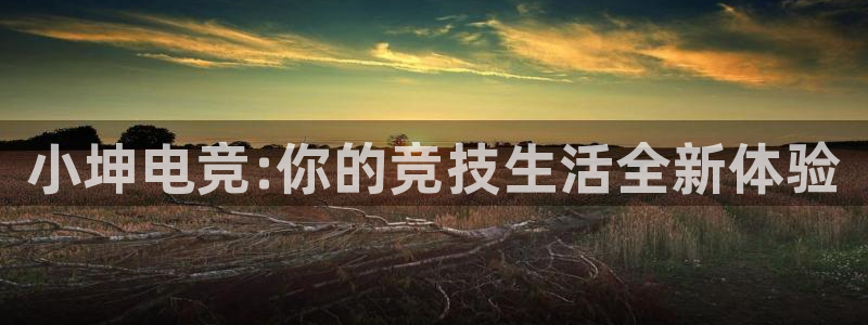乐竞电竞：小坤电竞:你的竞技生活全新体验