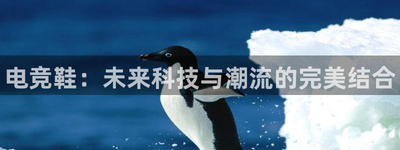 乐竞电竞青训基地：电竞鞋：未来科技与潮流的完美结合