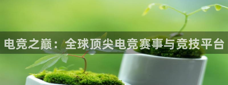 乐竞电竞官网首页：电竞之巅：全球顶尖电竞赛事与竞技平台