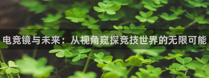 乐竞电竞平台：电竞镜与未来：从视角窥探竞技世界的无限可能