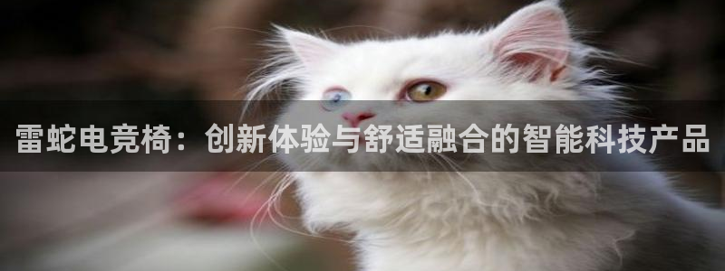 成都乐竞电竞青训基地：雷蛇电竞椅：创新体验与舒适融合的智能科技产品
