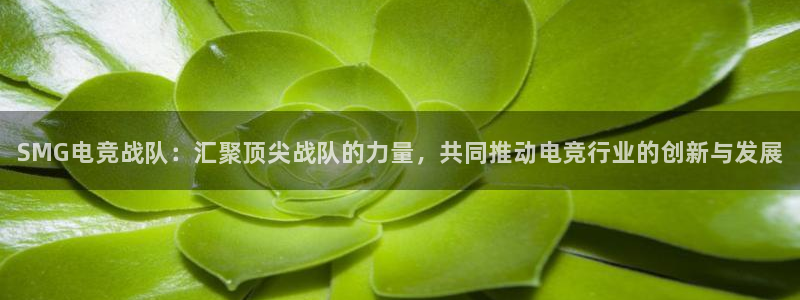 乐竞电竞：SMG电竞战队：汇聚顶尖战队的力量，共同推动电竞行业的创新与发展