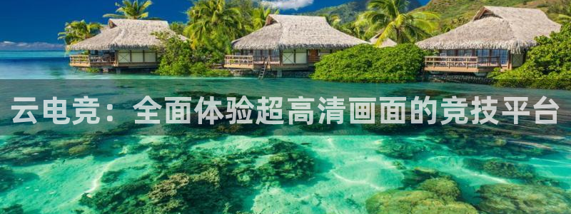 乐竞电竞app官方入口下载：云电竞：全面体验超高清画面的竞技平台