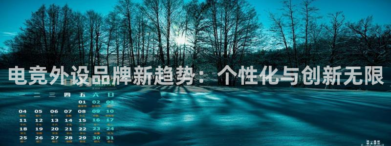 乐竞电竞app：电竞外设品牌新趋势：个性化与创新无限