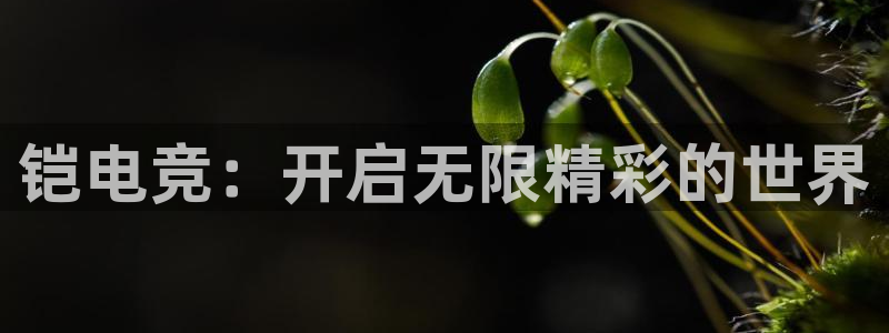 乐竞电竞青训基地：铠电竞：开启无限精彩的世界