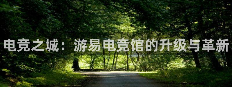 成都乐竞电竞：电竞之城：游易电竞馆的升级与革新