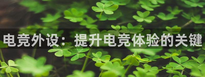 乐竞电竞官网入口：电竞外设：提升电竞体验的关键