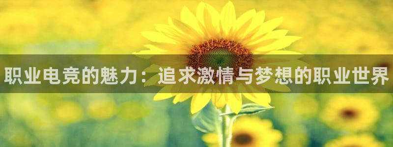 乐竞电竞实训中心收费标准：职业电竞的魅力：追求激情与梦想的职业世界