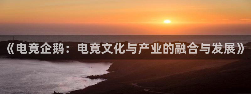 乐竞电竞：《电竞企鹅：电竞文化与产业的融合与发展》